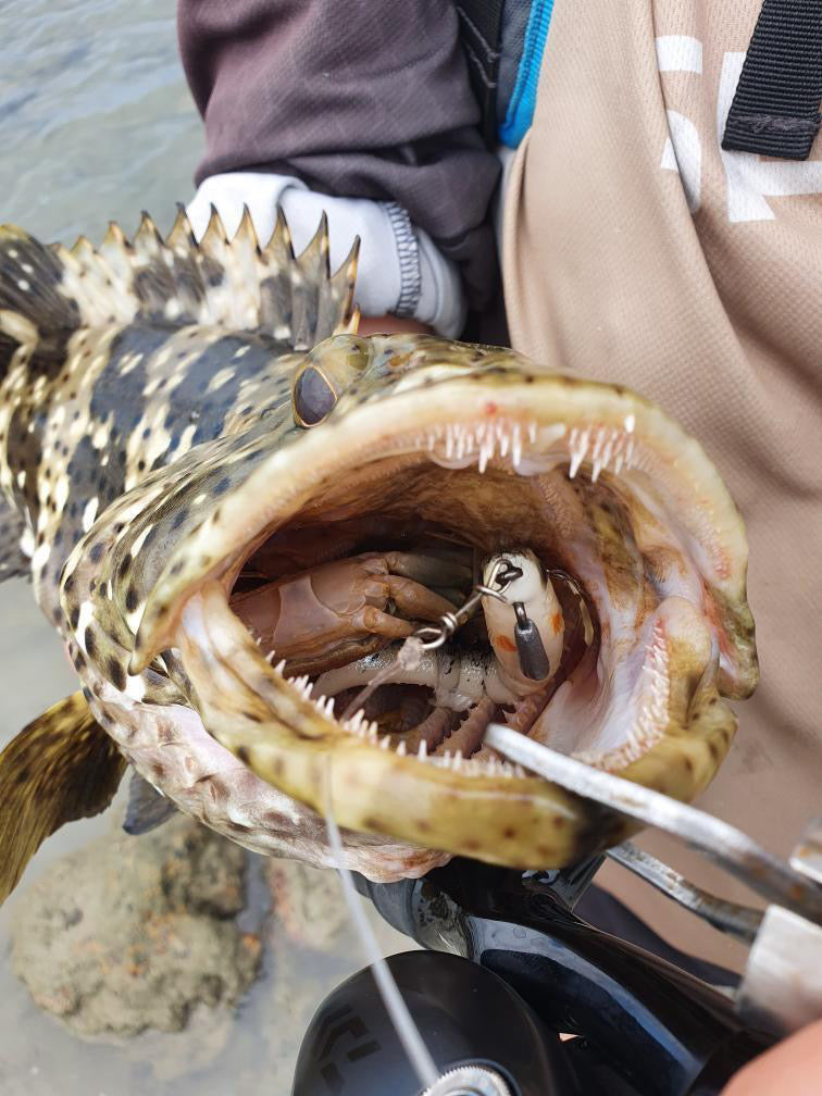 4.5 inch Gold Shimmer