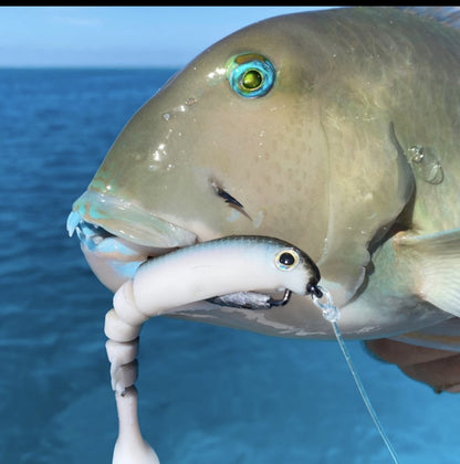 4.5" Pilchard Shimmer